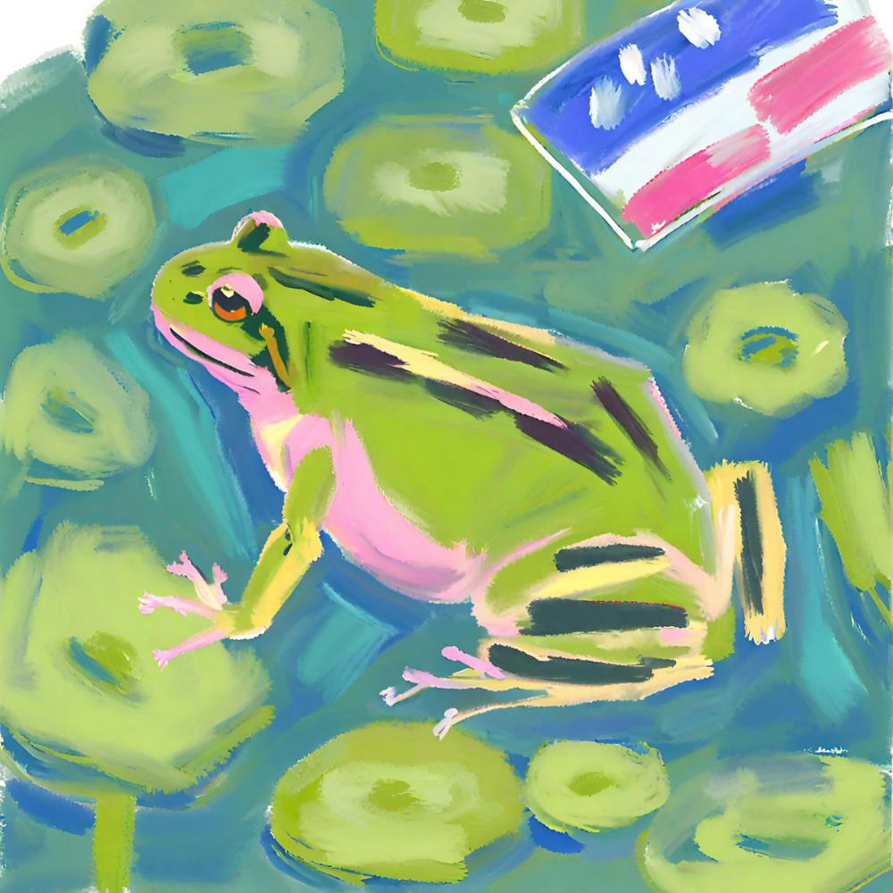 Amerikanischer Ochsenfrosch 06
