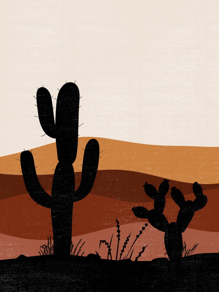 Cactus In The Desert 50