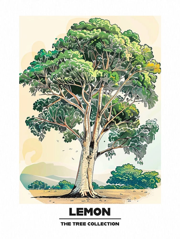 Lemon Tree Storybook Illustration 2 Poster