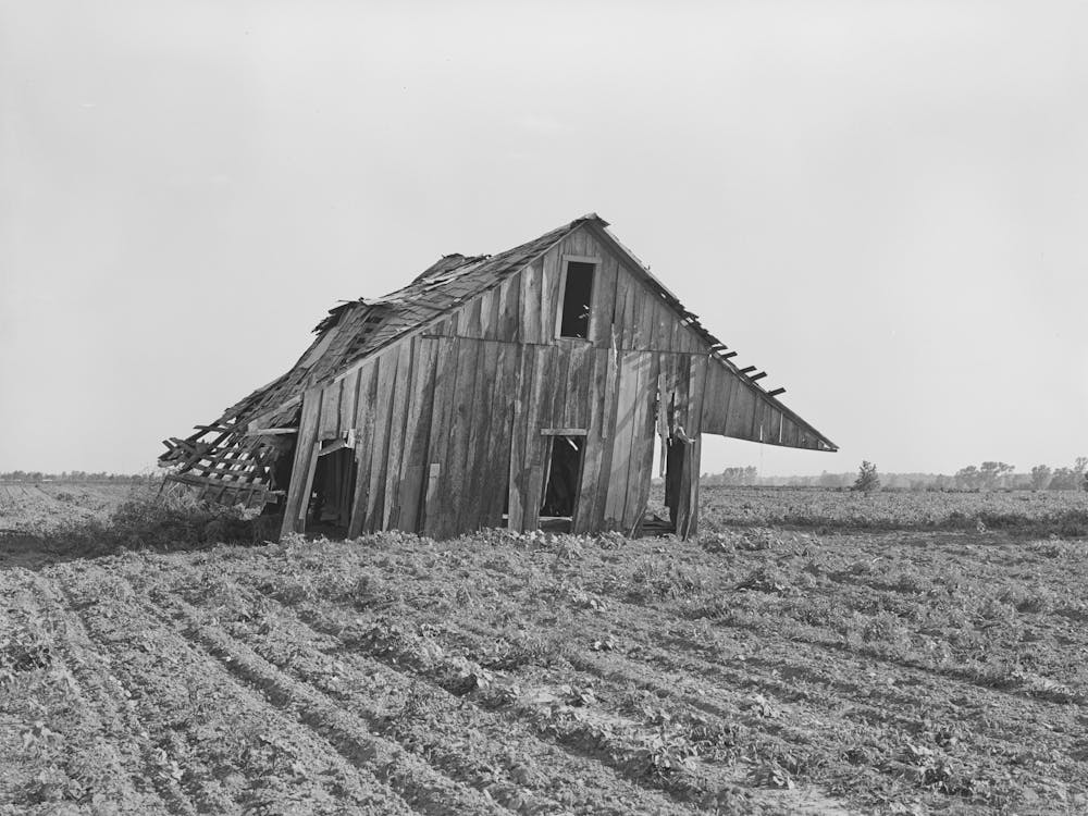Abandoned Tenant Farmhouse In Field Of Cotton In Wagoner County, Oklahoma By Russell Lee