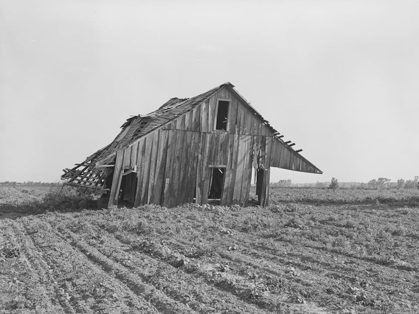Abandoned Tenant Farmhouse In Field Of Cotton In Wagoner County, Oklahoma By Russell Lee