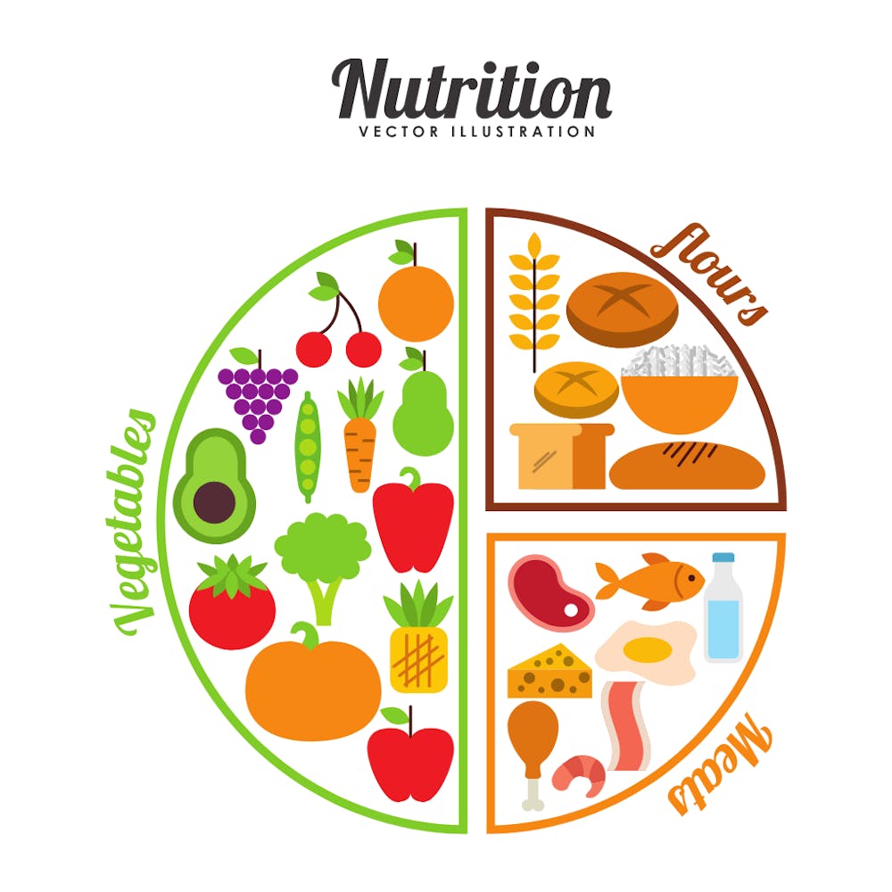 Nutrition Plate