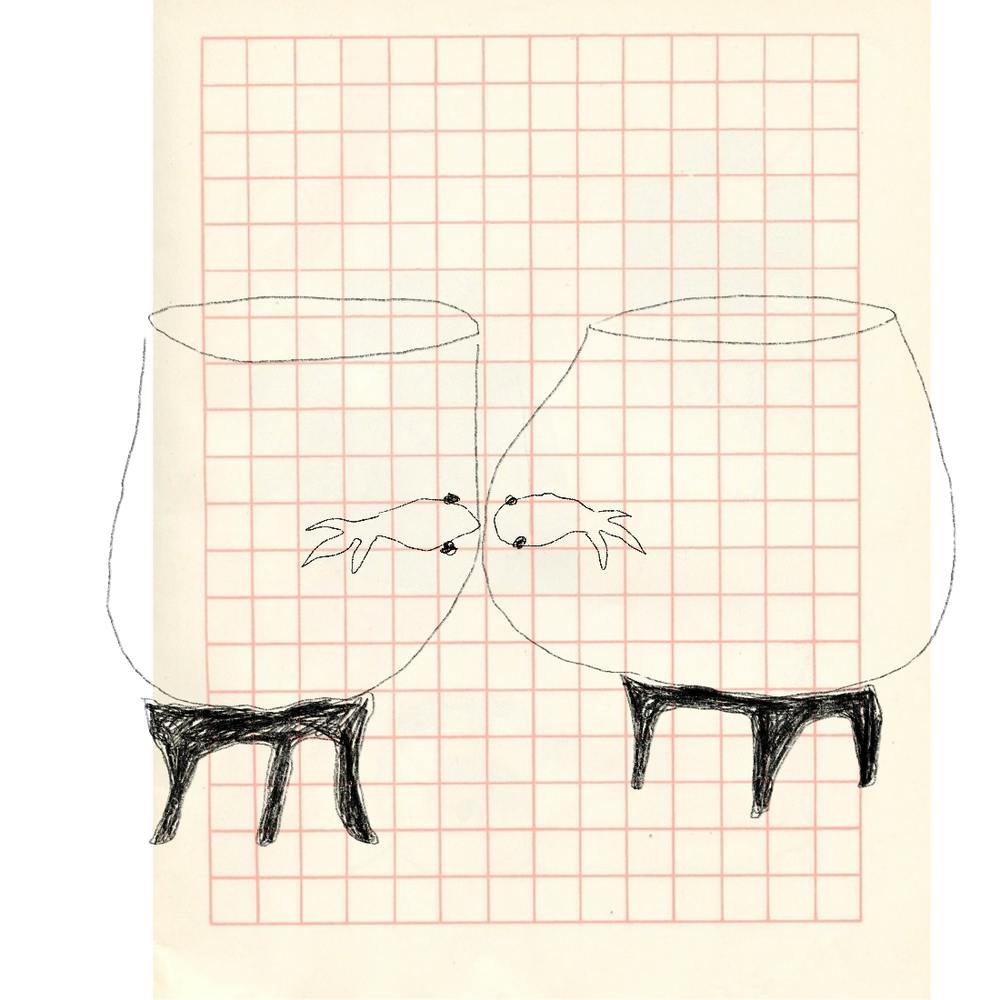 Goldfish 1