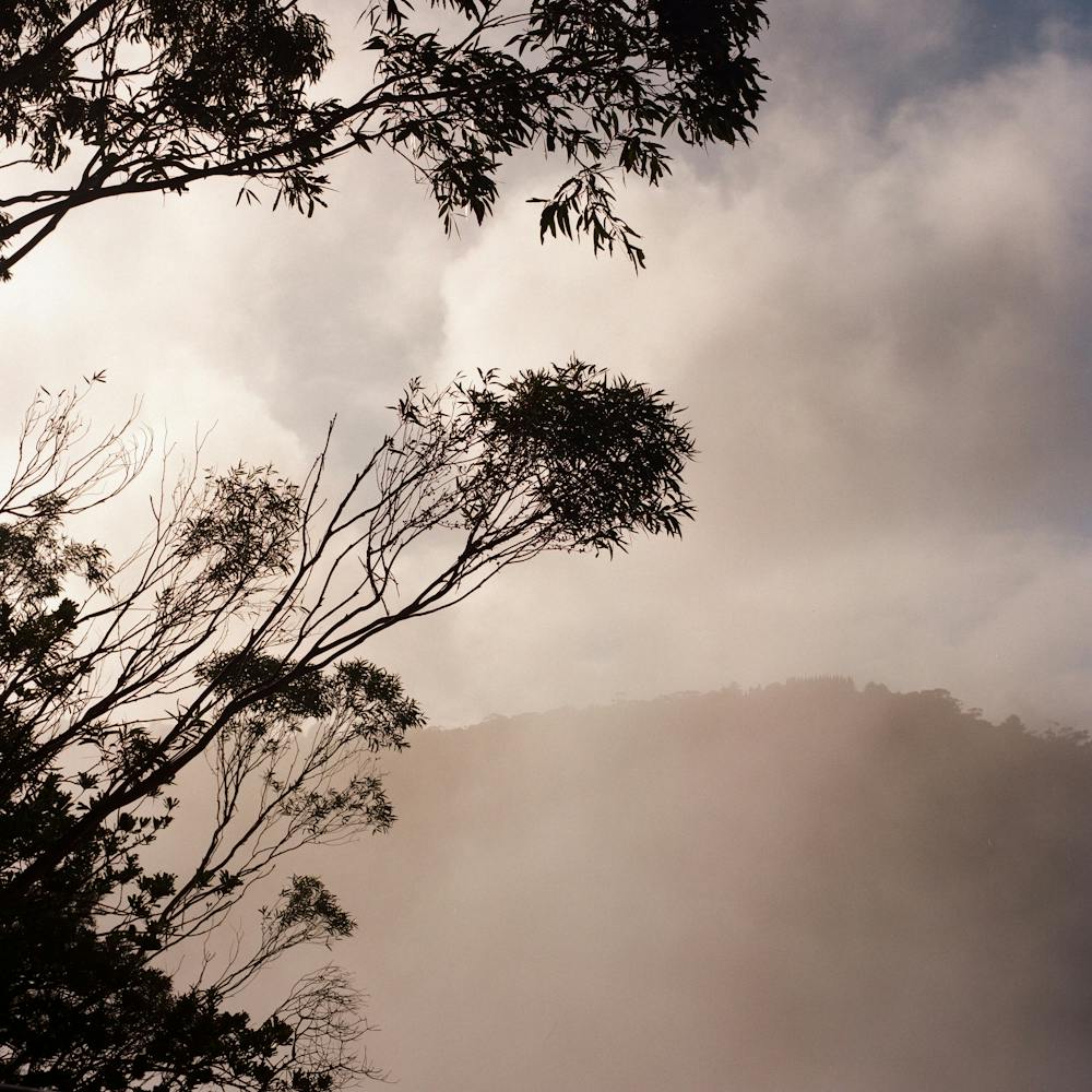 Nature 005