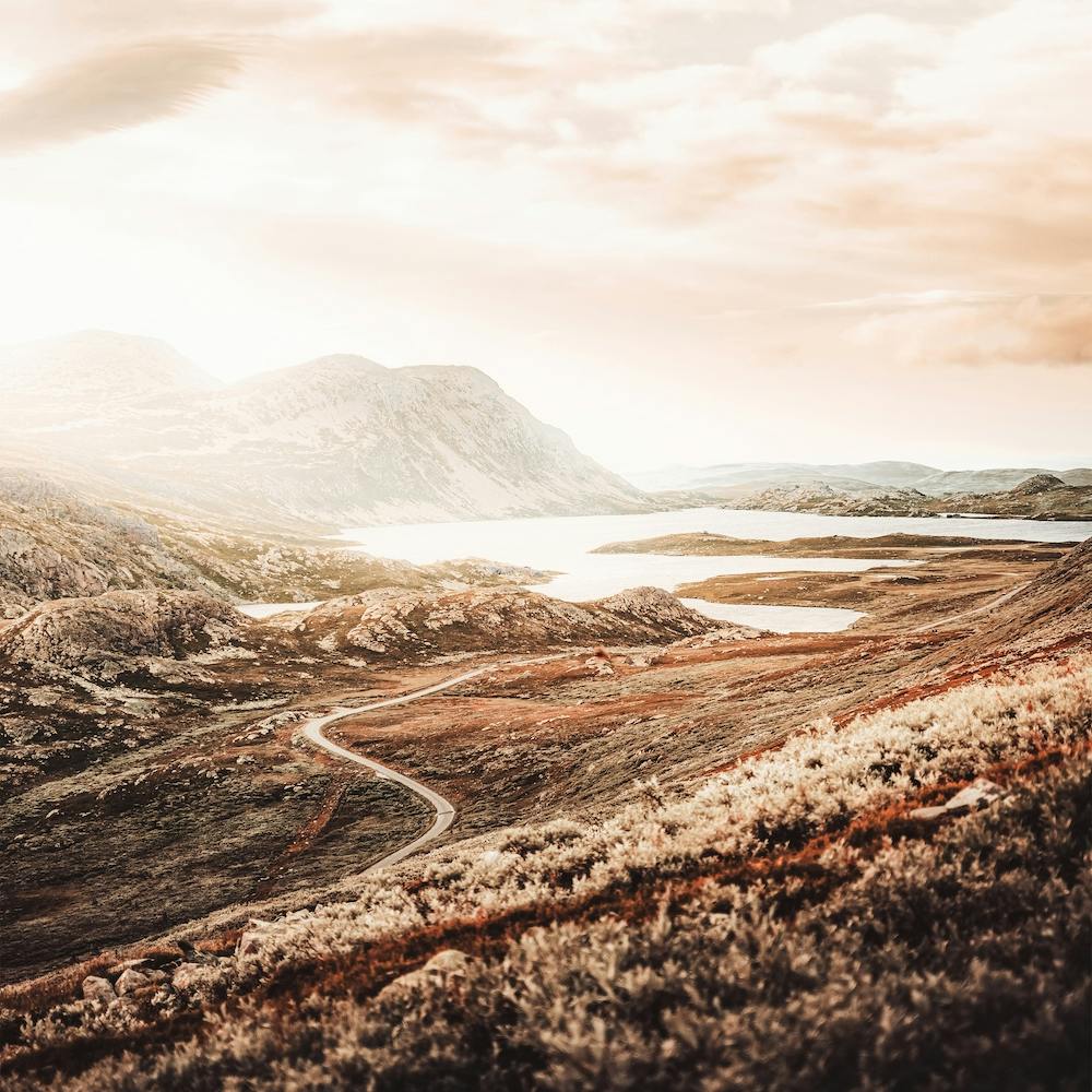 Sunny Rustic Scenery Square