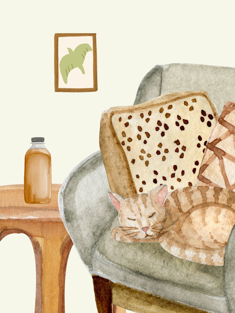 Cat On The Couch