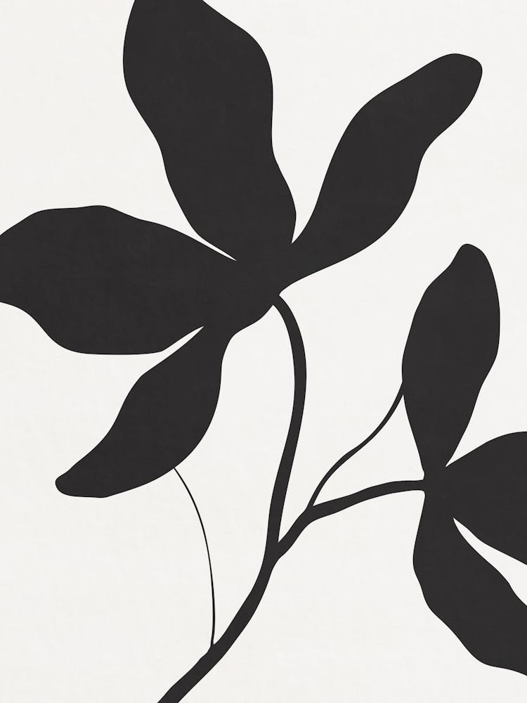 Black And White Leaf 02