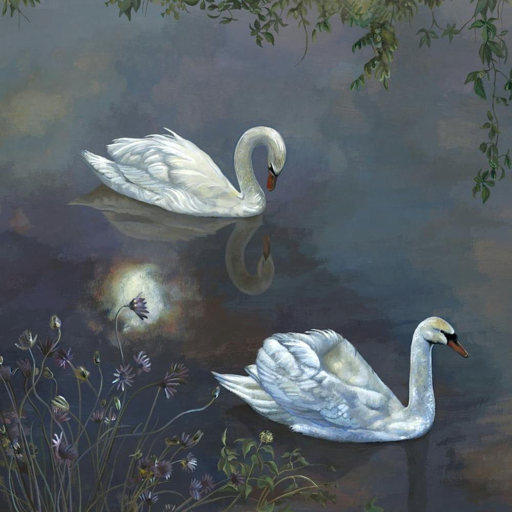 Moonlight Swans
