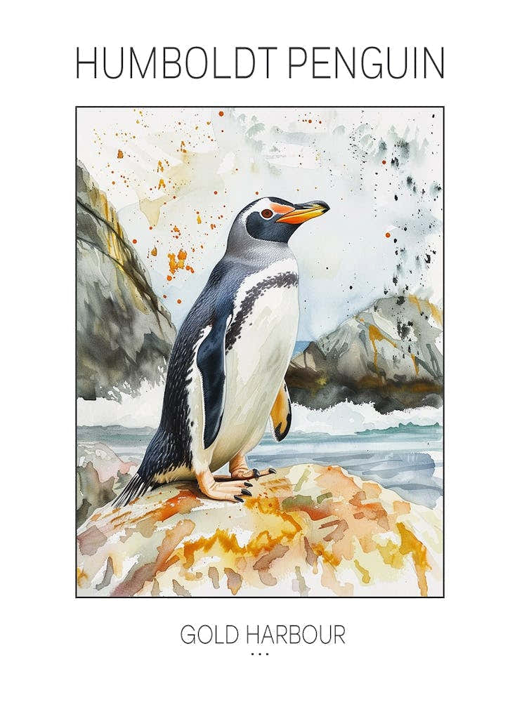Humboldt Penguin Gold Harbour Watercolour Painting 1 Poster