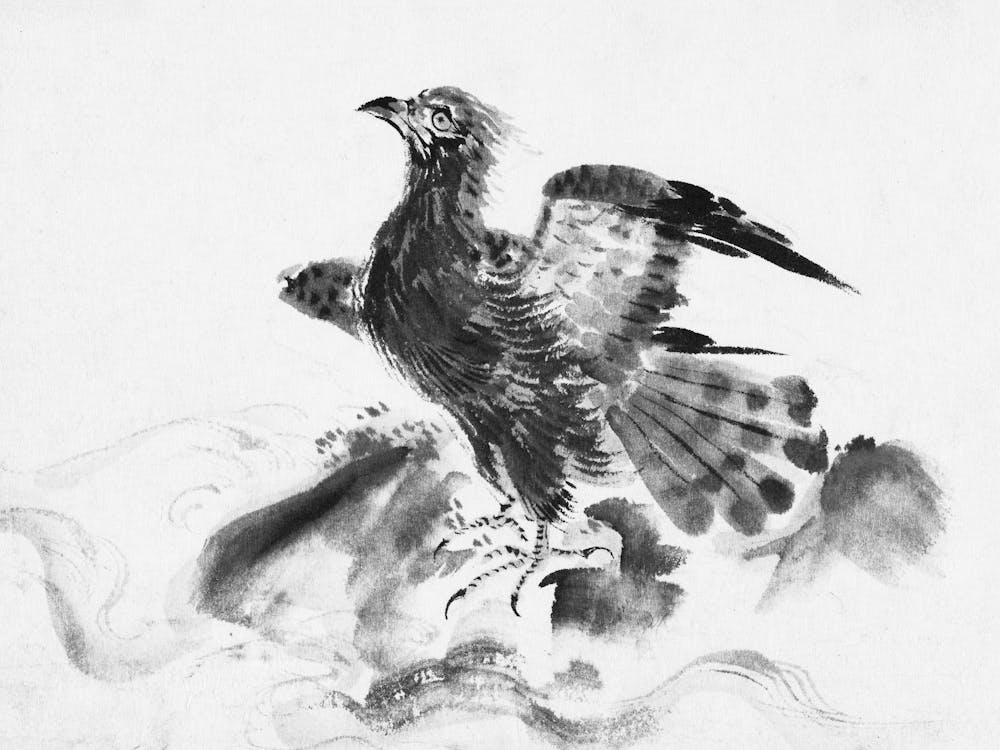 Chinese Phoenix