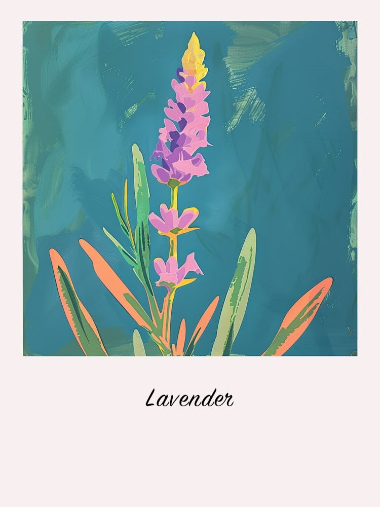 Lavender 2 Square Flower Illustration Poster