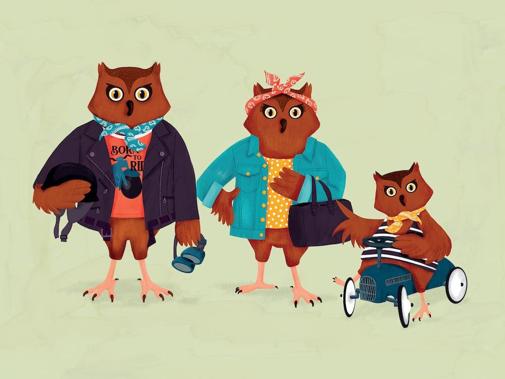 Biker Owls Animal Families