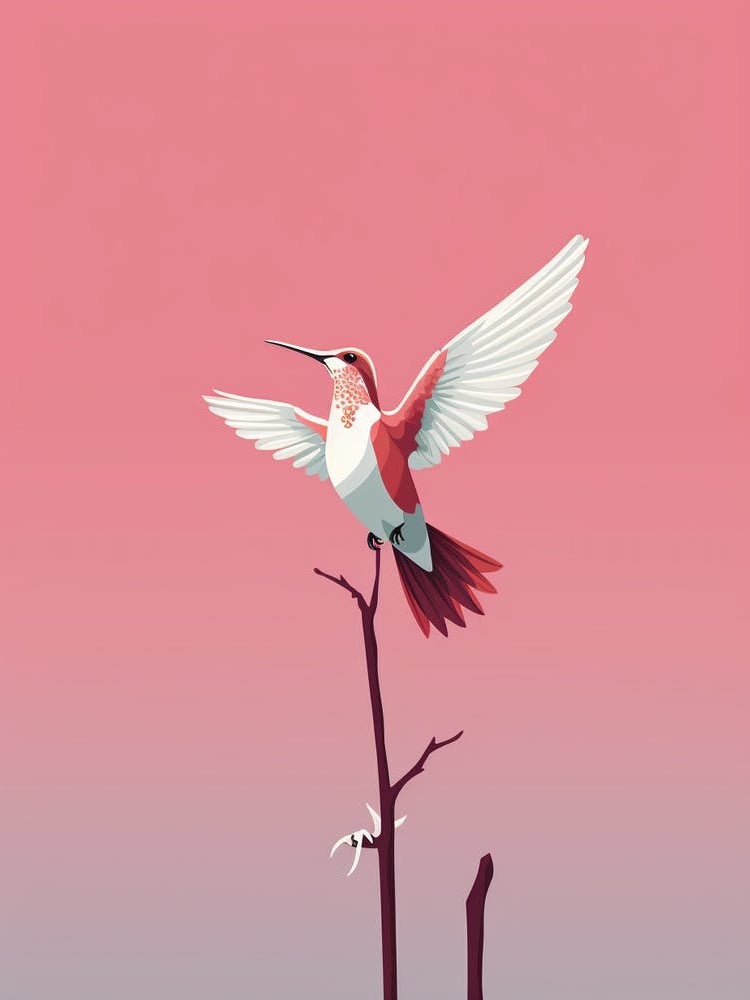 Minimalist Hummingbird 1 Illustration