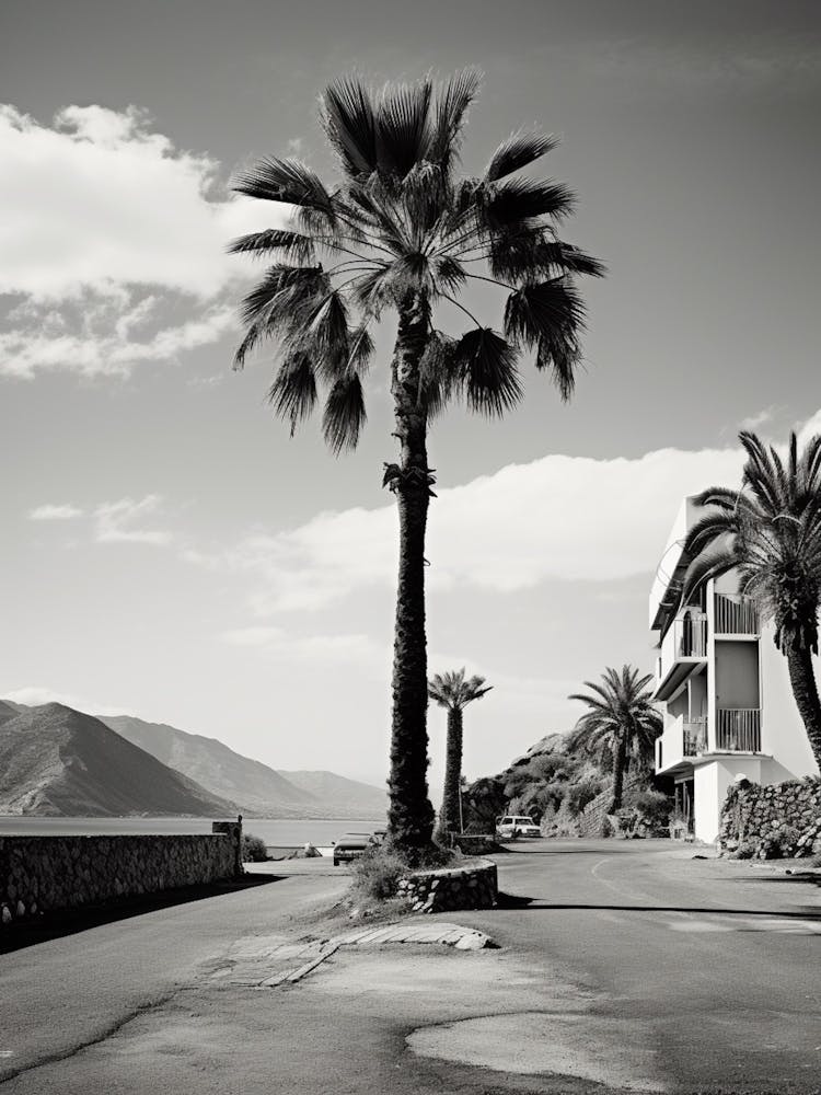 Tenerife, Spain, Black And White Analogue Photography 1