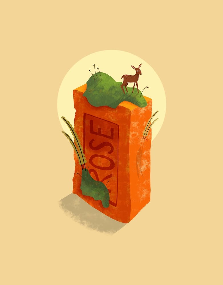 Von der Natur zurückerobert
