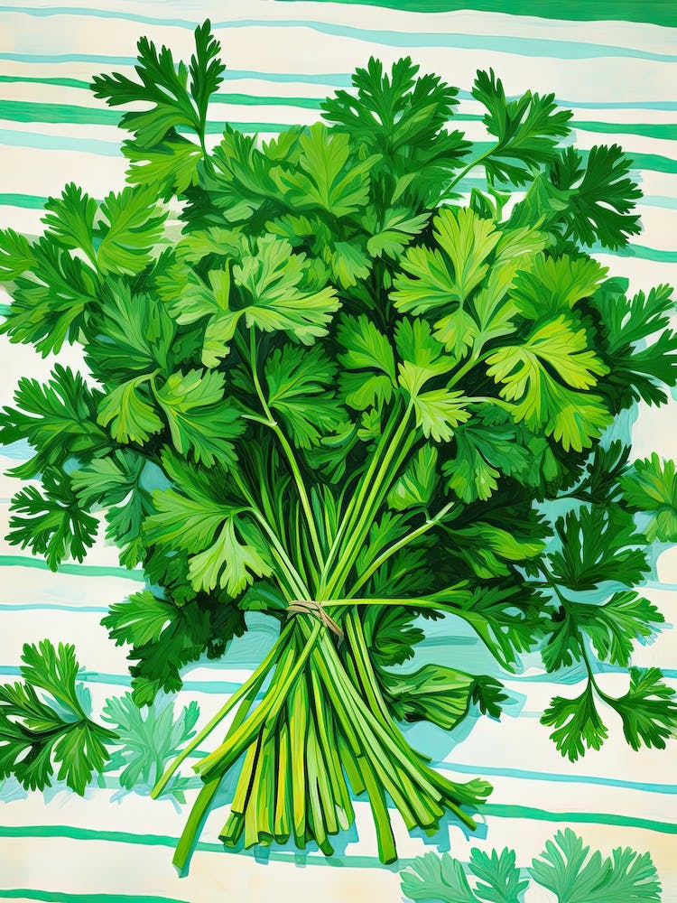 Parsley Summer Illustration 1