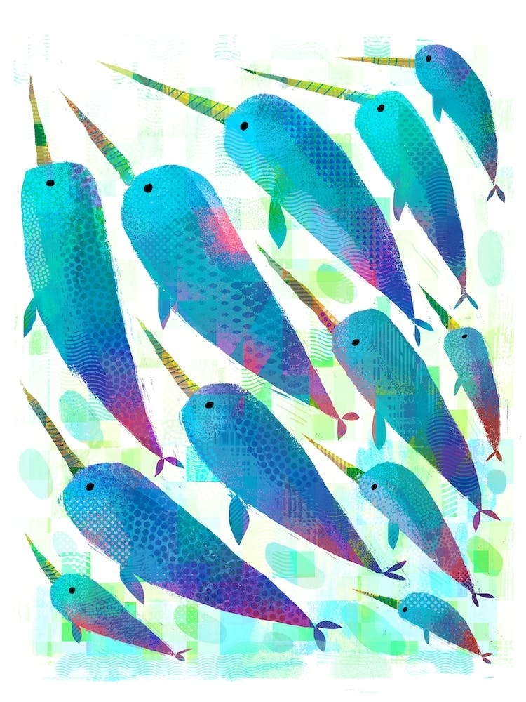 A Blessing Of Narwhals