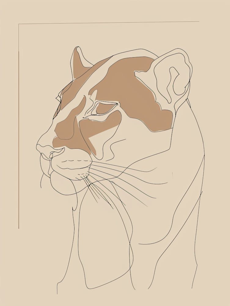 Puma - Boho, Strichzeichnung