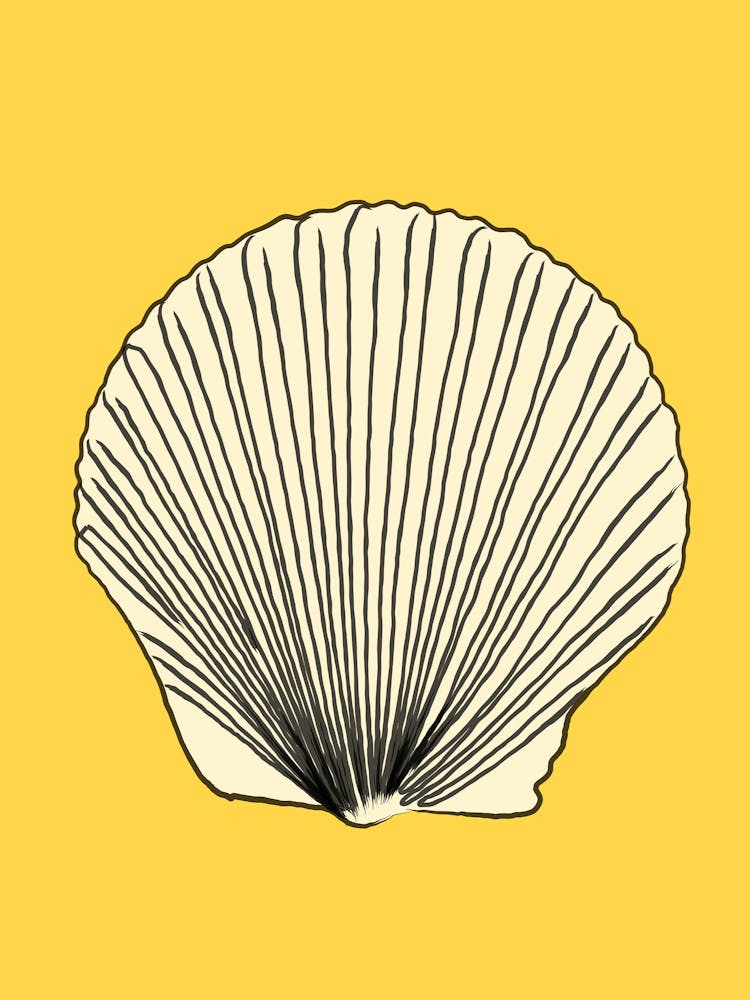 Seashell On Yellow Background