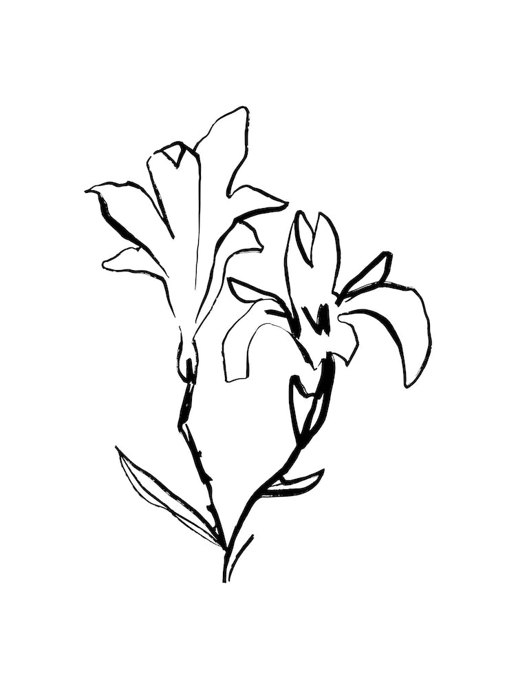 Blossom