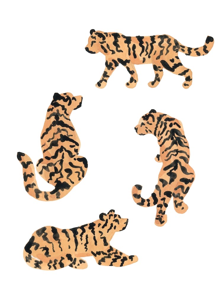 Tigers