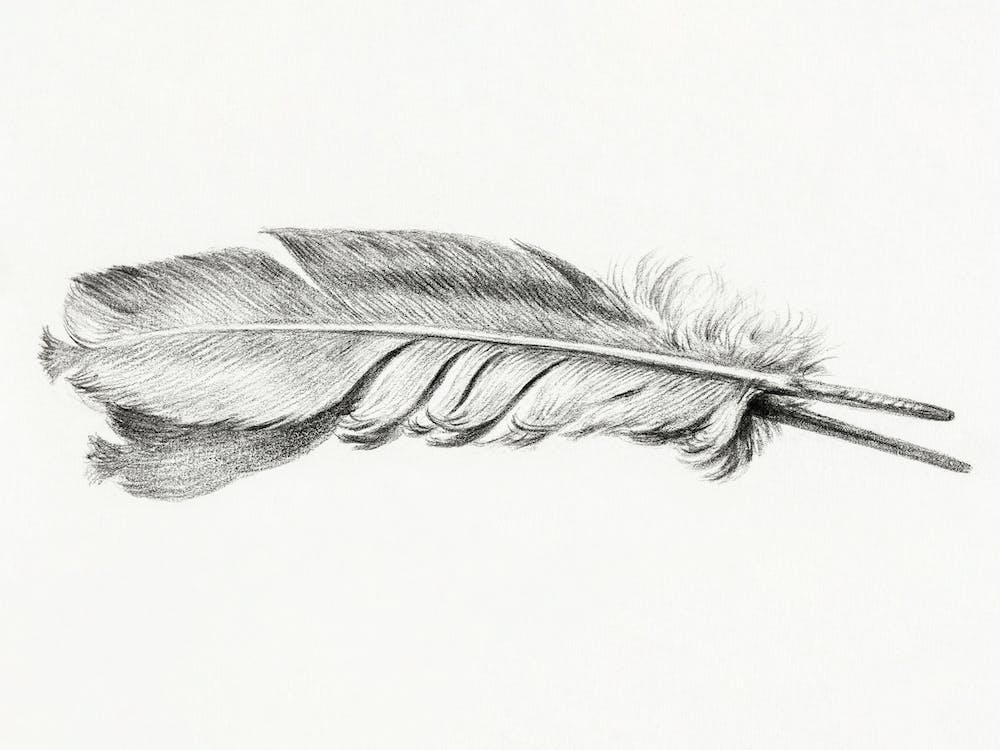 Feather, Jean Bernard