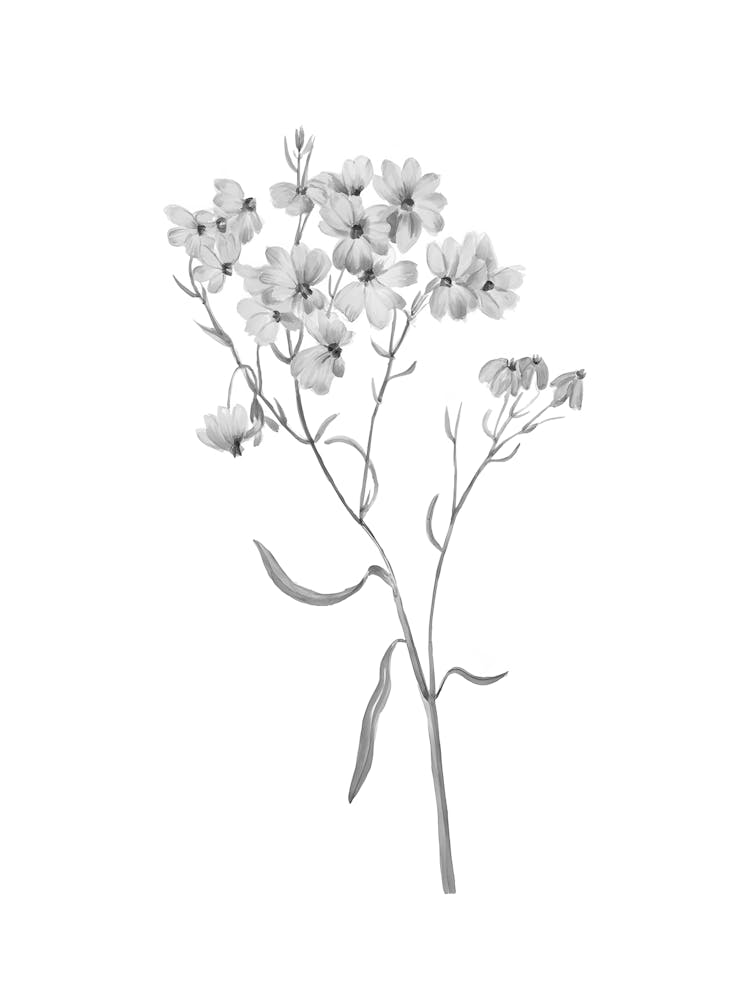 Black And White Flowers 10