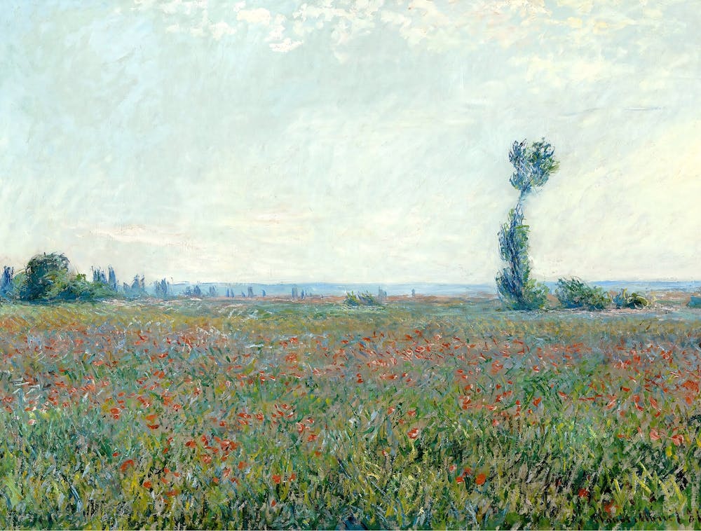 Claude Monet - Poppy Field 2