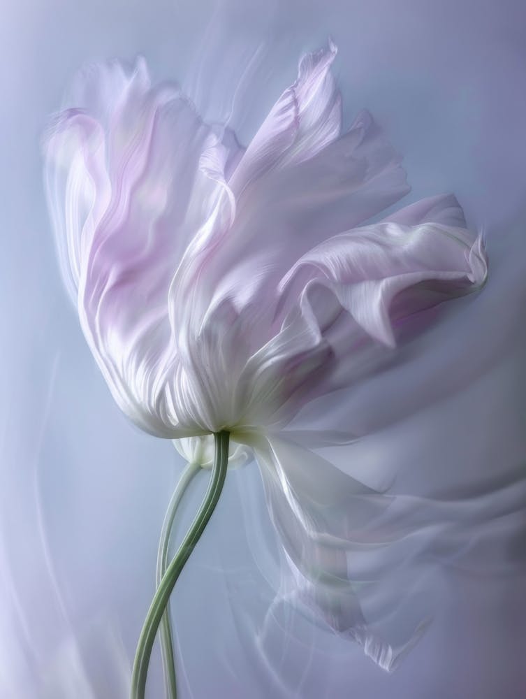 2024 May Poster Icm Flower 4