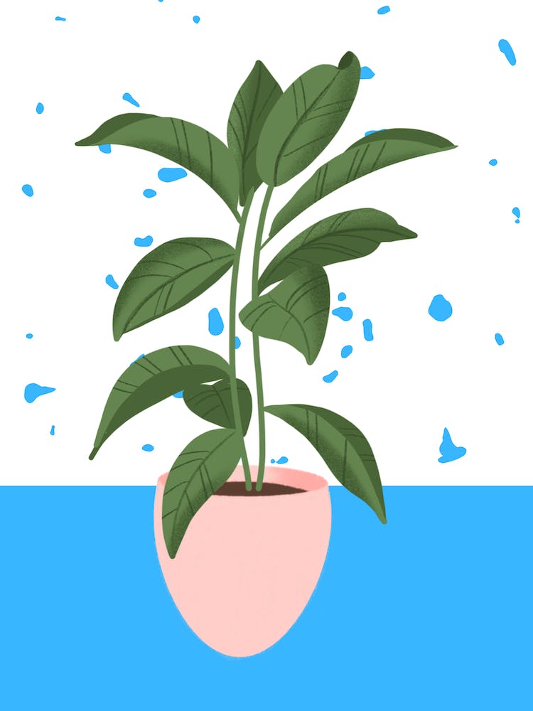 Terrazzo Potted Plant 1