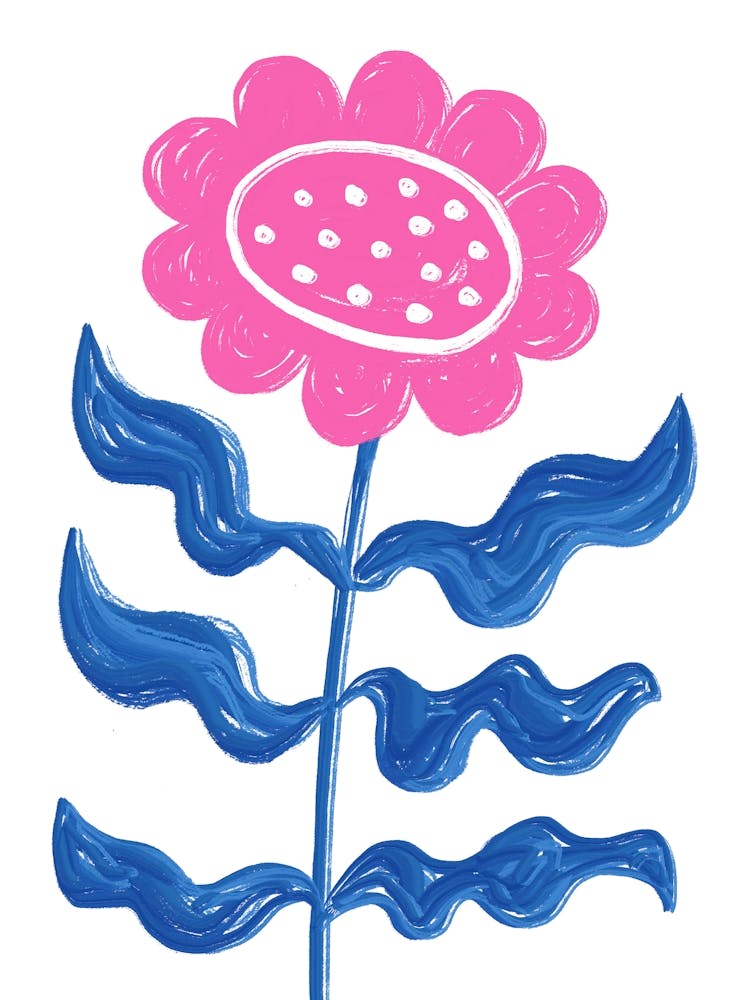 Pink Sunflower