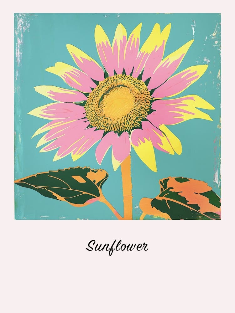 Sunflower 1 Square Flower Illustration Poster