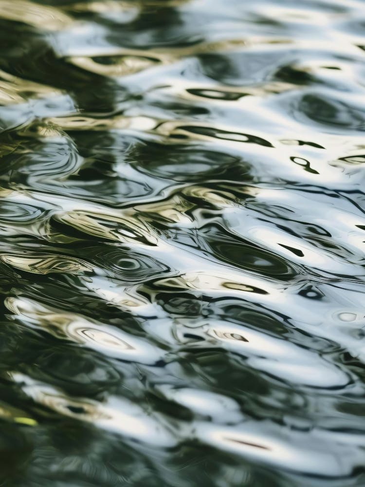 Reflections In Water 1