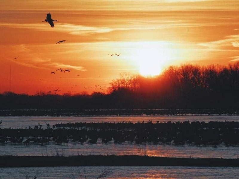 Sunrise Over A Lake