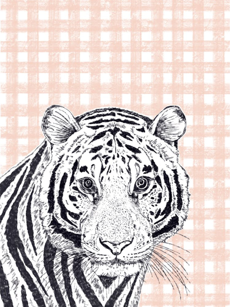Tiger Gingham