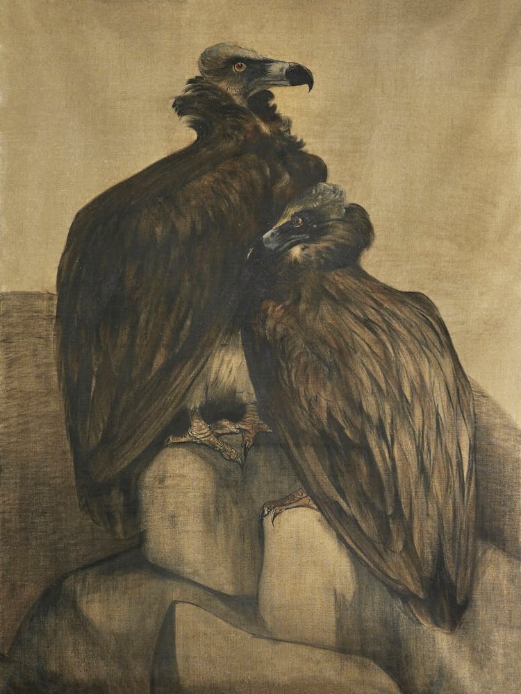 Deux Vautours Arabes (1885–1917), Theo Van Hoytema