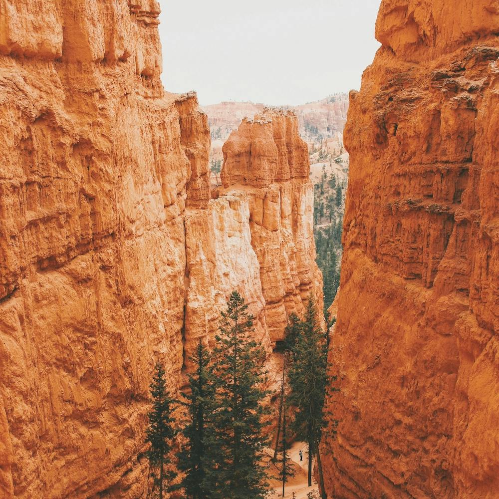 Bryce Canyon Trail