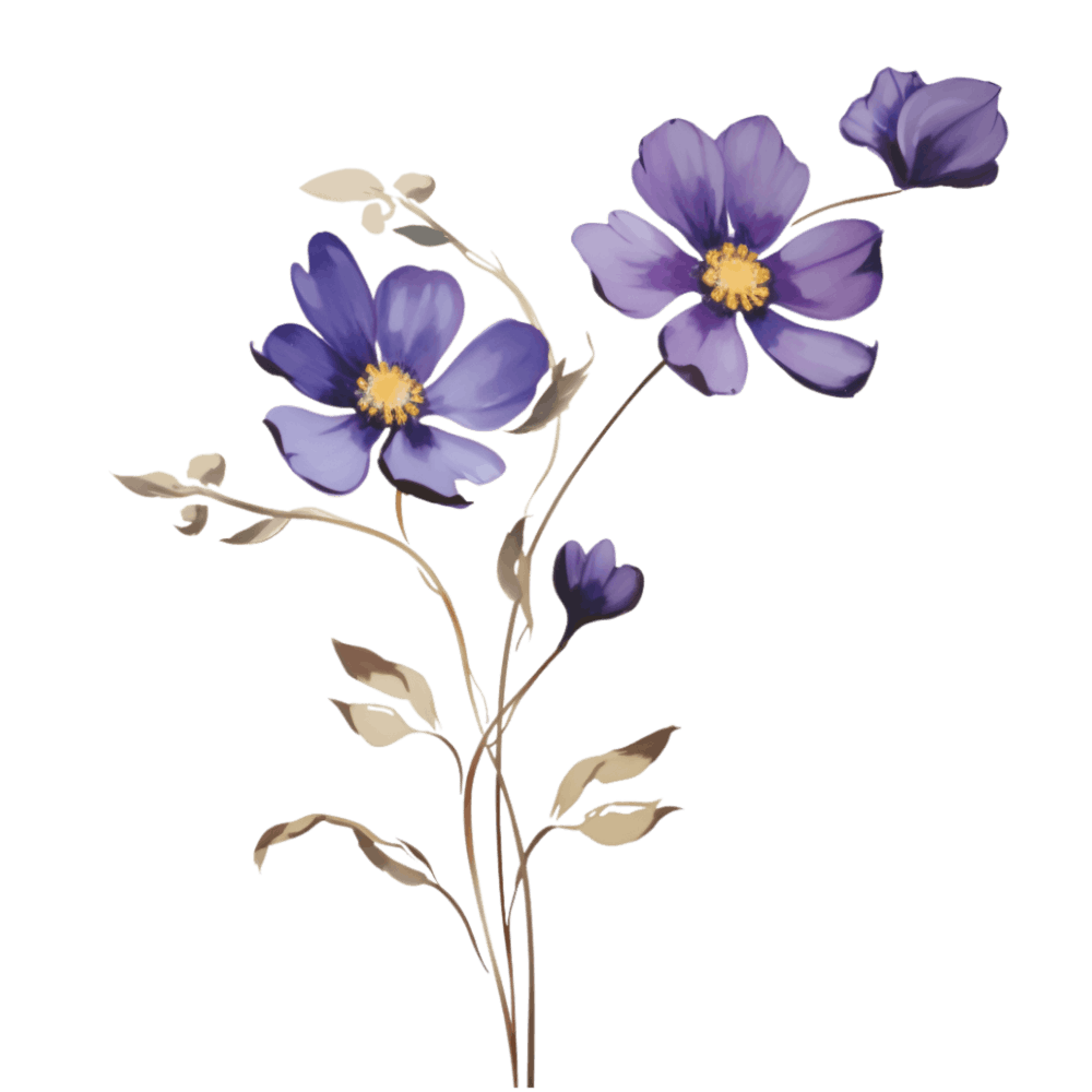 Lila Blumen Auf Einem Schwarzen Hintergrund