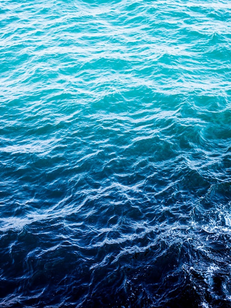 Blaue Flut