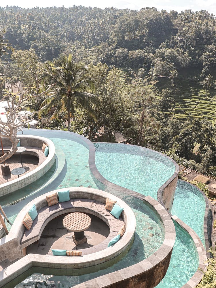 Tropical Jungle Pool