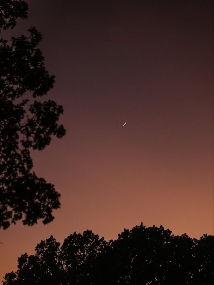 Quiet Evening
