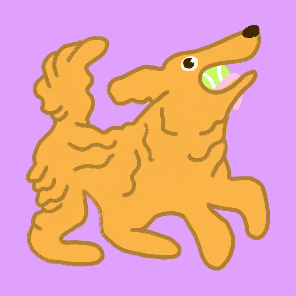 Happy Golden Retriever 1