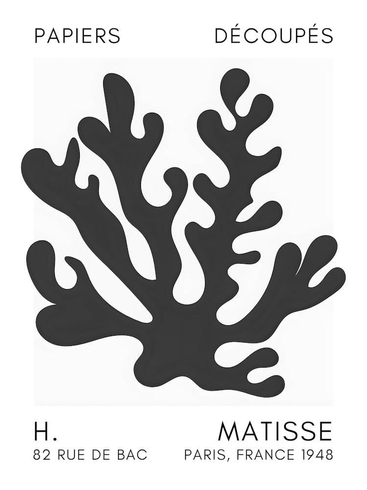 Matisse 42
