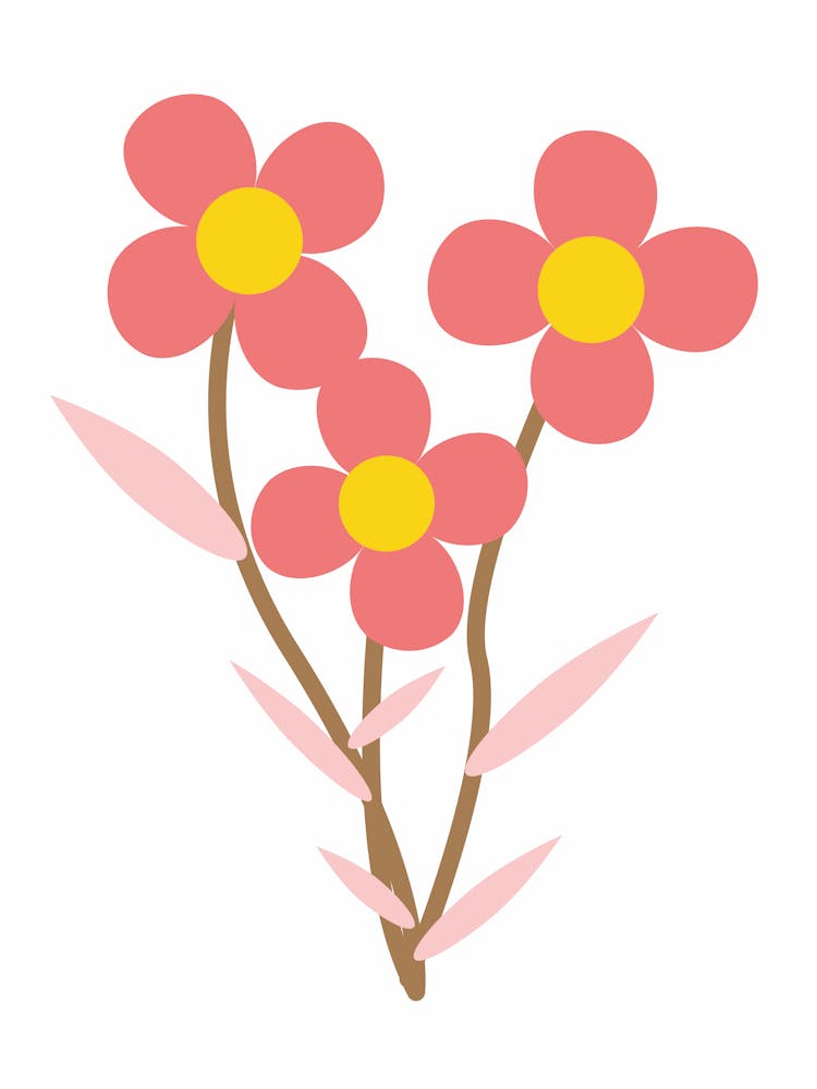 Daisy Flower