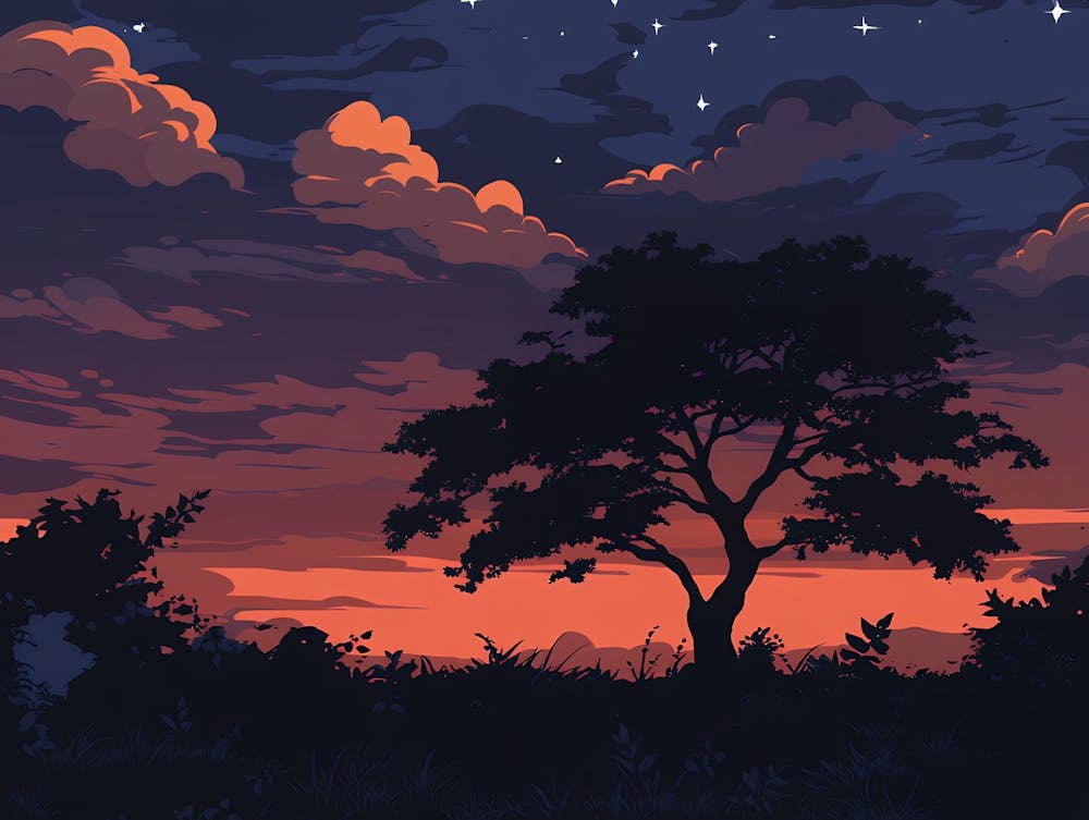 Sunset 11