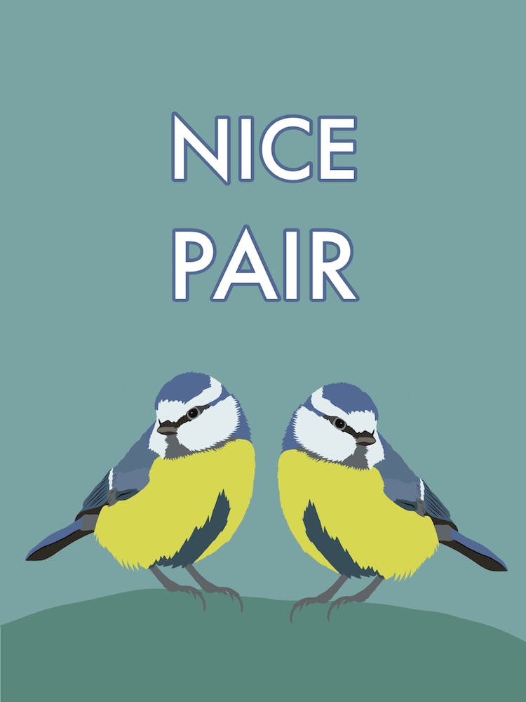 Nice Pair