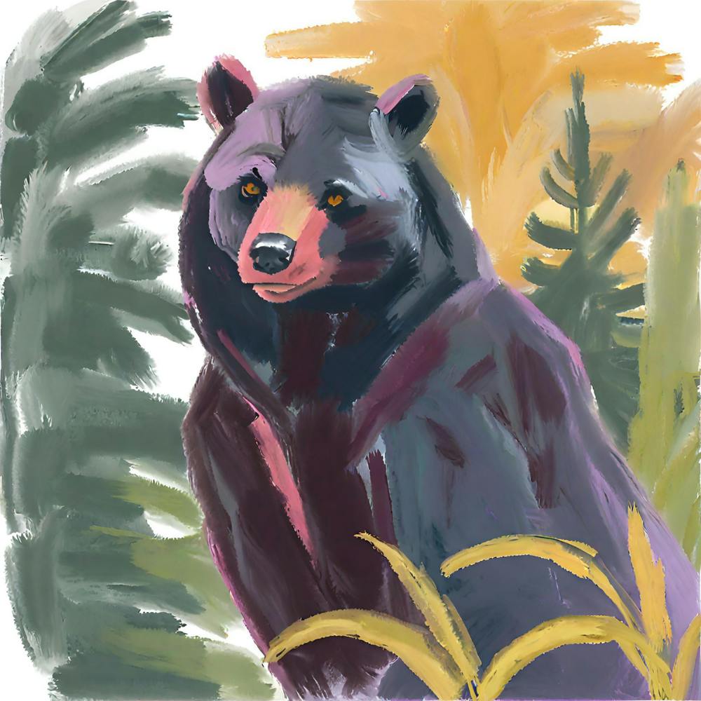 Schwarzbär 03