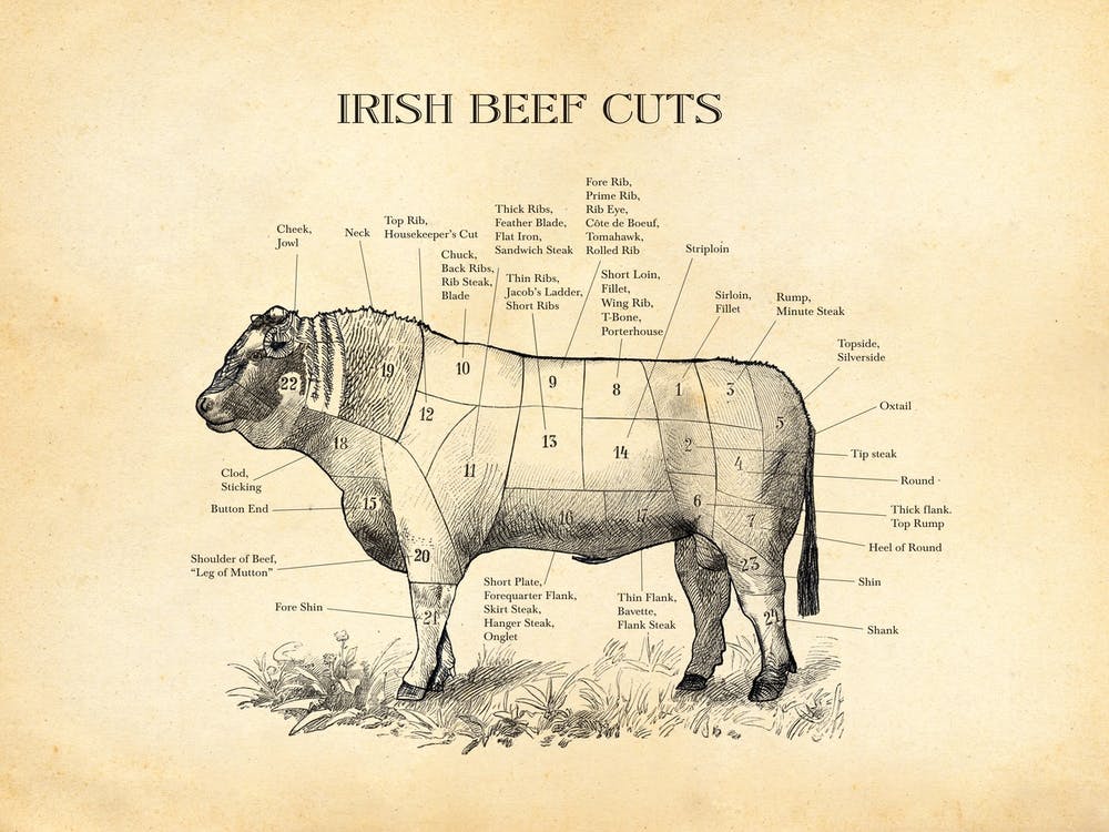 Irish Beef Cuts Butcher Chart