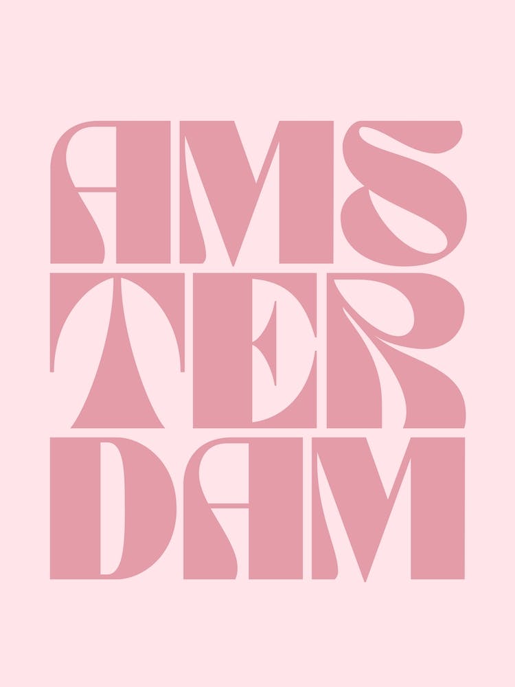 Amsterdam Rose