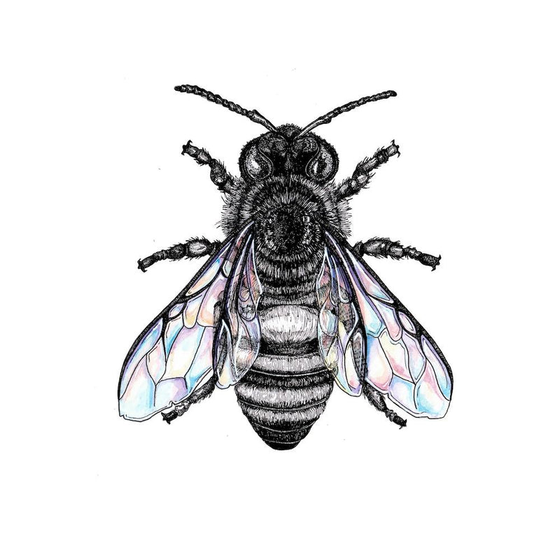The Bee